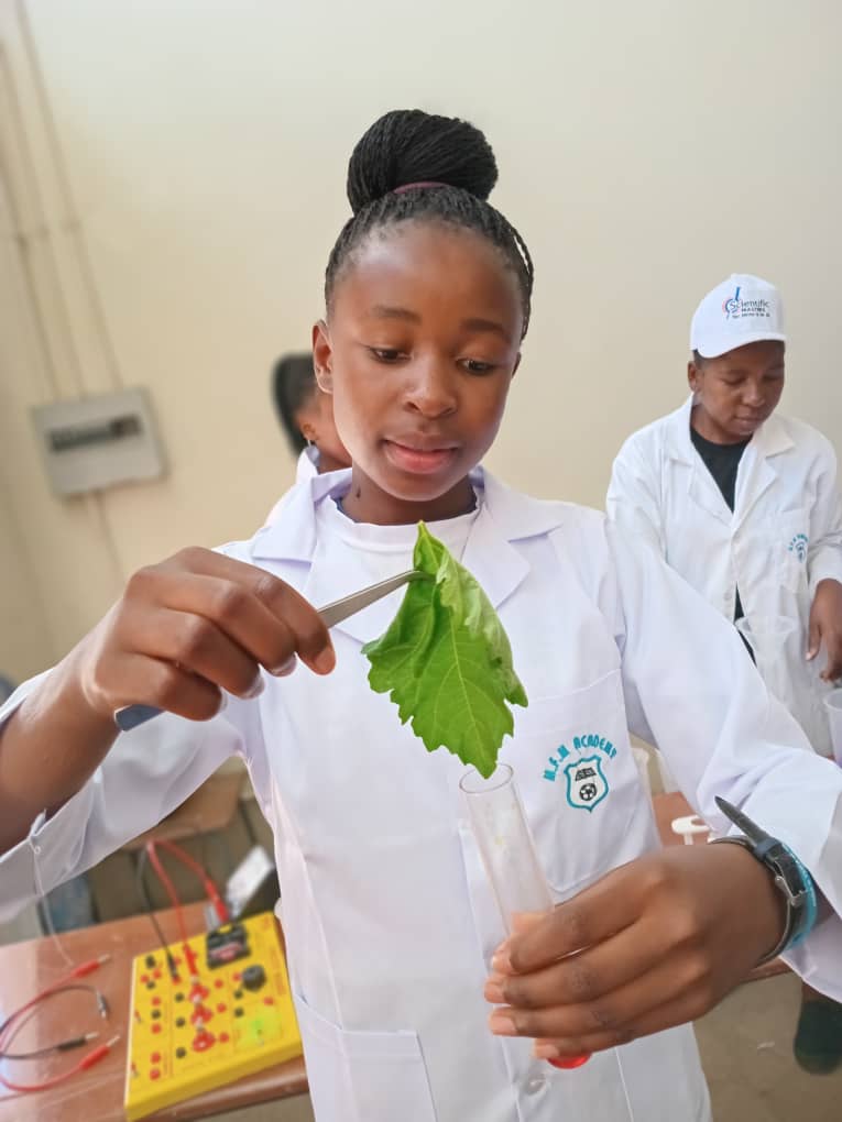 Student examining a leaf during a science practical